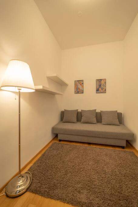 Spacious Mitten In Wien